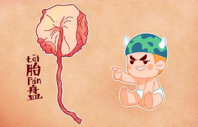 胎盘到底该不该吃神药还是伪科学