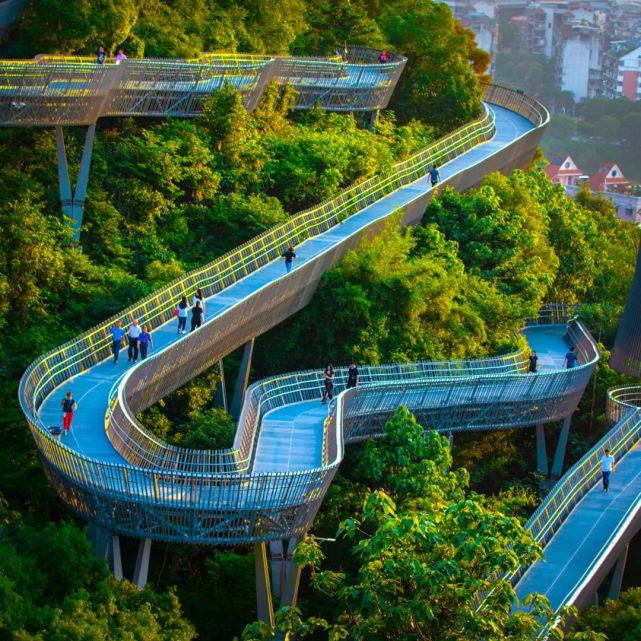 福州福道一步跨入森林之中