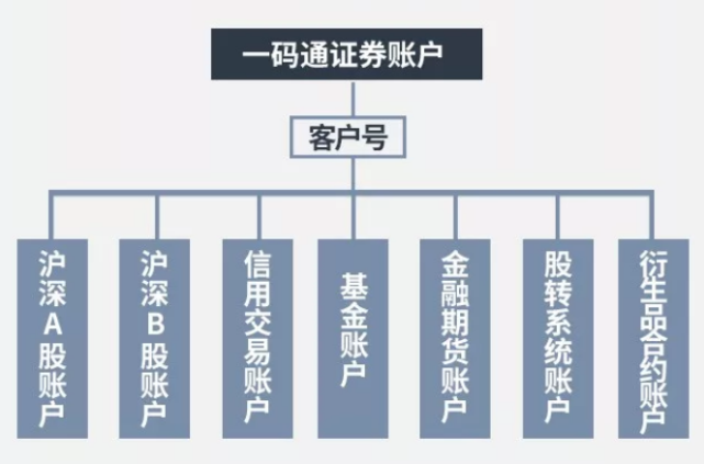 a股賬戶,b股賬戶,封閉式基金賬戶,信用證券賬戶,以及中國結算根據業務