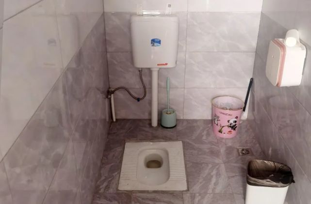 在新庄镇小集子村村民李令安家,昔日的旱厕改造成了新式水冲式厕所,用