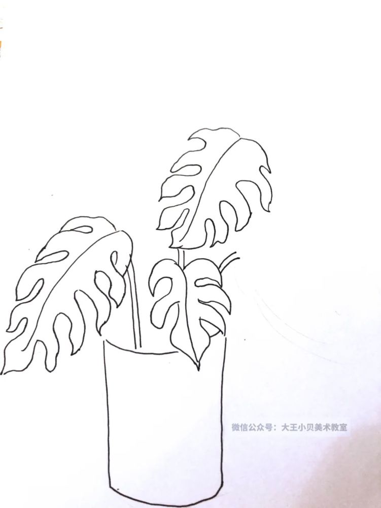 少兒美術匯植物主題創意線描畫課例給你全新的靈感