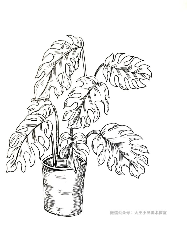 少儿美术汇 | 植物主题创意线描画课例,给你全新的灵感!