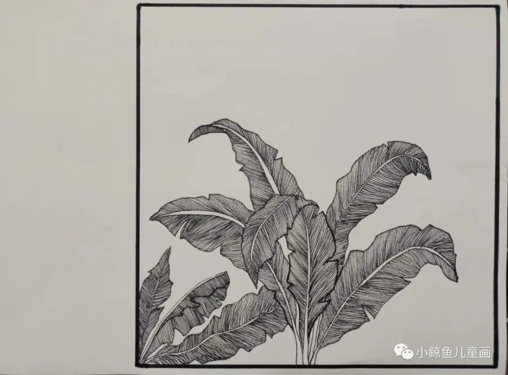 少兒美術匯 | 植物主題創意線描畫課例,給你全新的靈感!