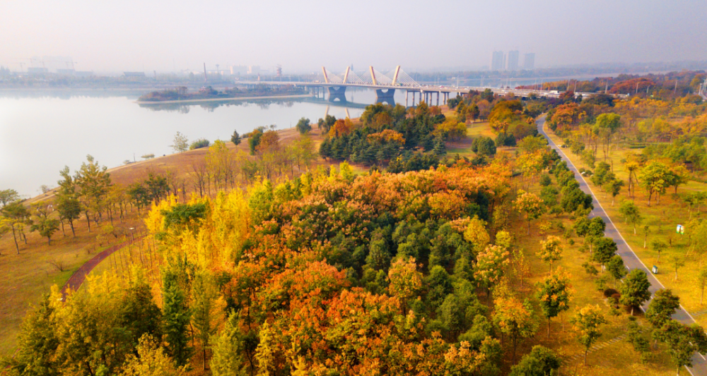 淠河湿地公园森林城市凤凰河河西景观大道月亮岛这么美的六安,你见过