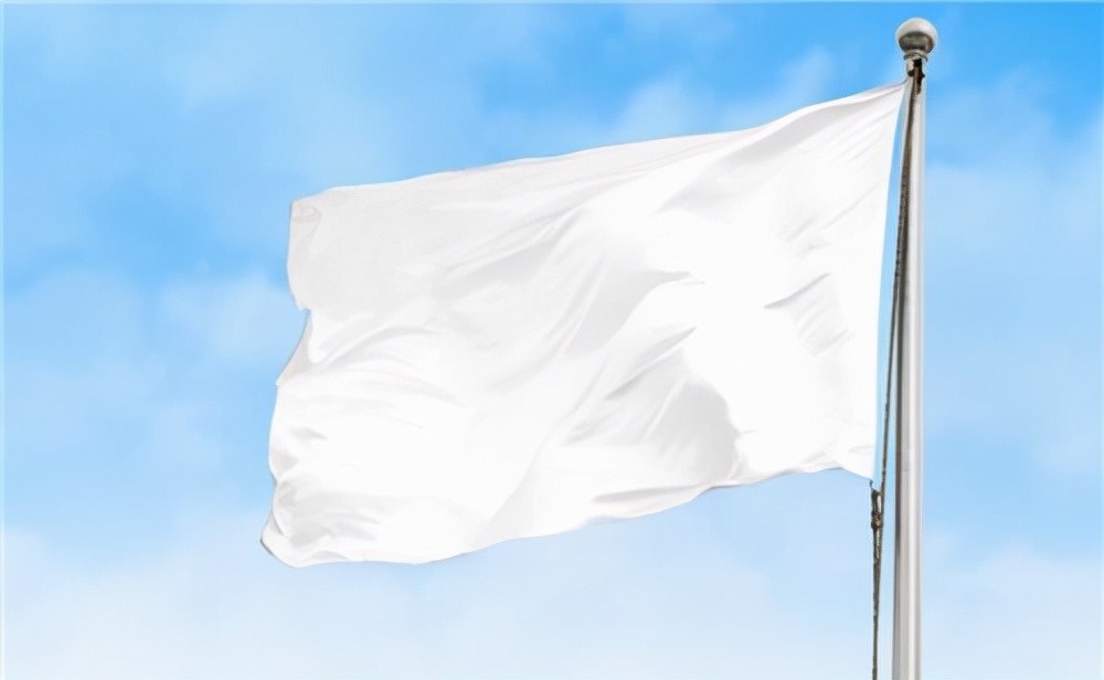 蓝白红哪种颜色代表法国马克龙悄悄改变国旗三年民众都没发现