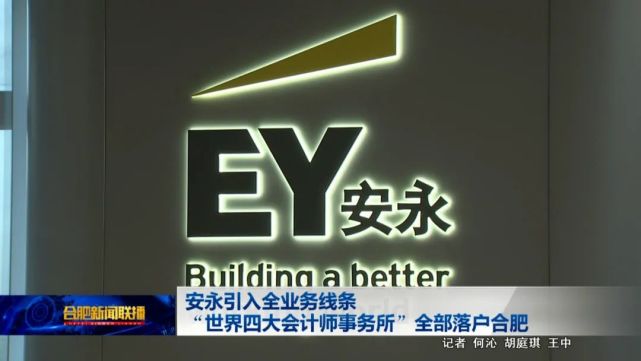 安永会计师事务所进驻合肥罗云峰与陈凯进行会谈