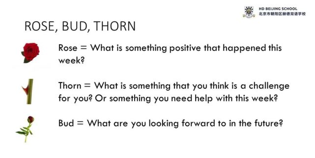 "真诚的沟通"是导师制的核心,导师制采用"rose,bud,thorn"的沟通机制