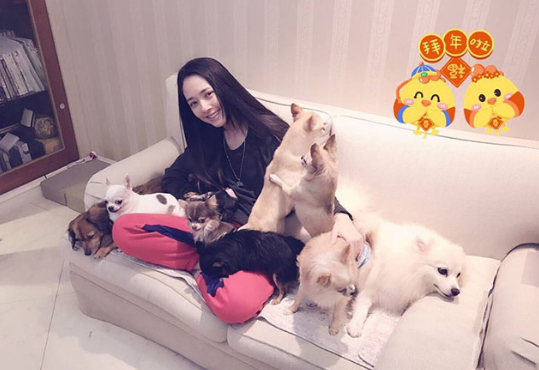 郭碧婷家里的客厅看起来非常简约大方,沙发选用的是简洁的白色为主.