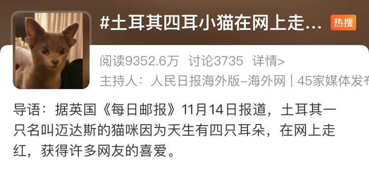 懂經網友:別驚訝,貓原本就有附耳～_騰訊新聞