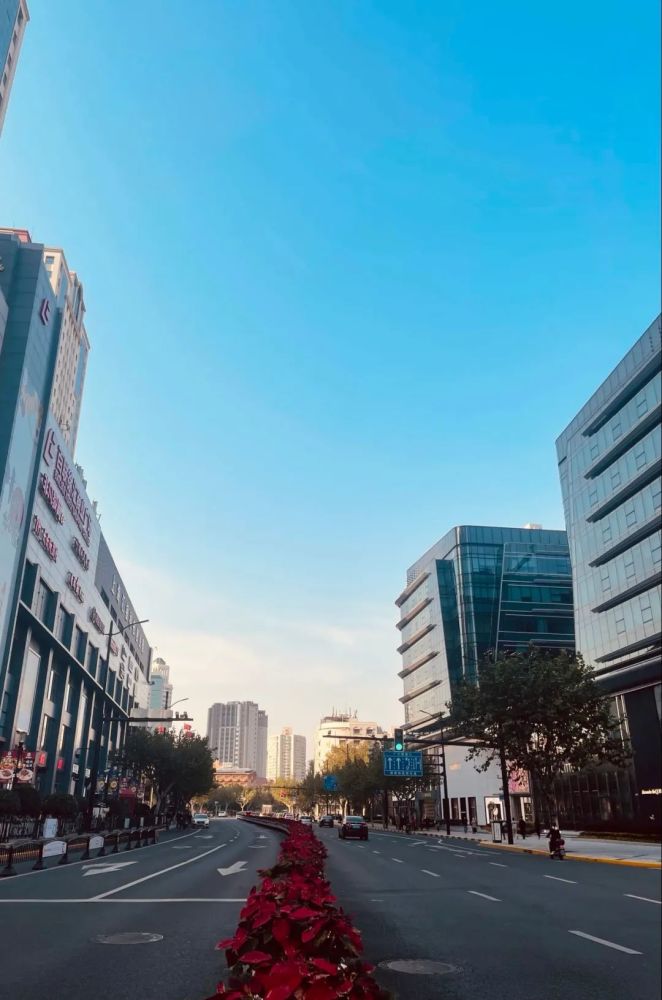 街道市民巡访团副团长  王亚农 " 在徐家汇文明创建过程中,他们始终