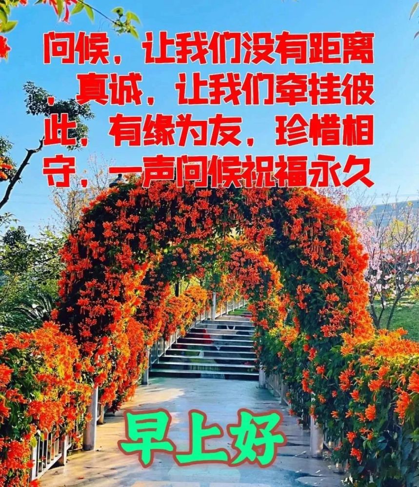 9张最新创意好看的冬日早安早上好图片带祝福语不用打字聊天的冬天