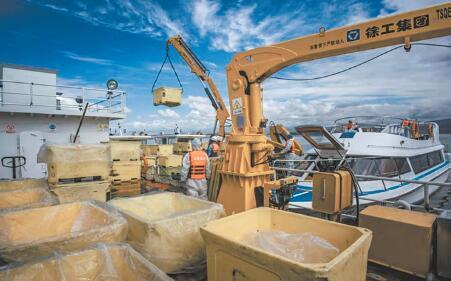 冷水观赏鱼排行榜_“冷水”养出“绿产业”——生态健康养殖推动我省冷水鱼产业高质量...