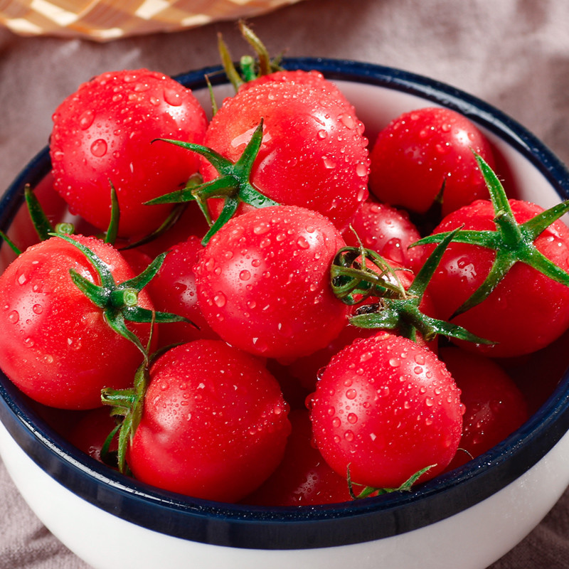 营养丰富口感清美的西红柿,是我最爱吃的蔬菜