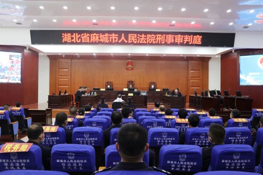 麻城原自然资源和规划局局长涉嫌贪污罪受贿罪滥用职权罪一案开庭审理