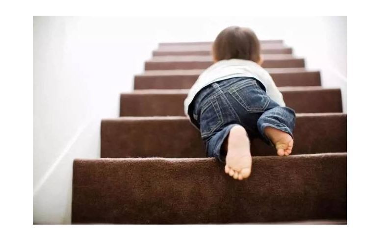 走楼梯,训练宝宝行走能力