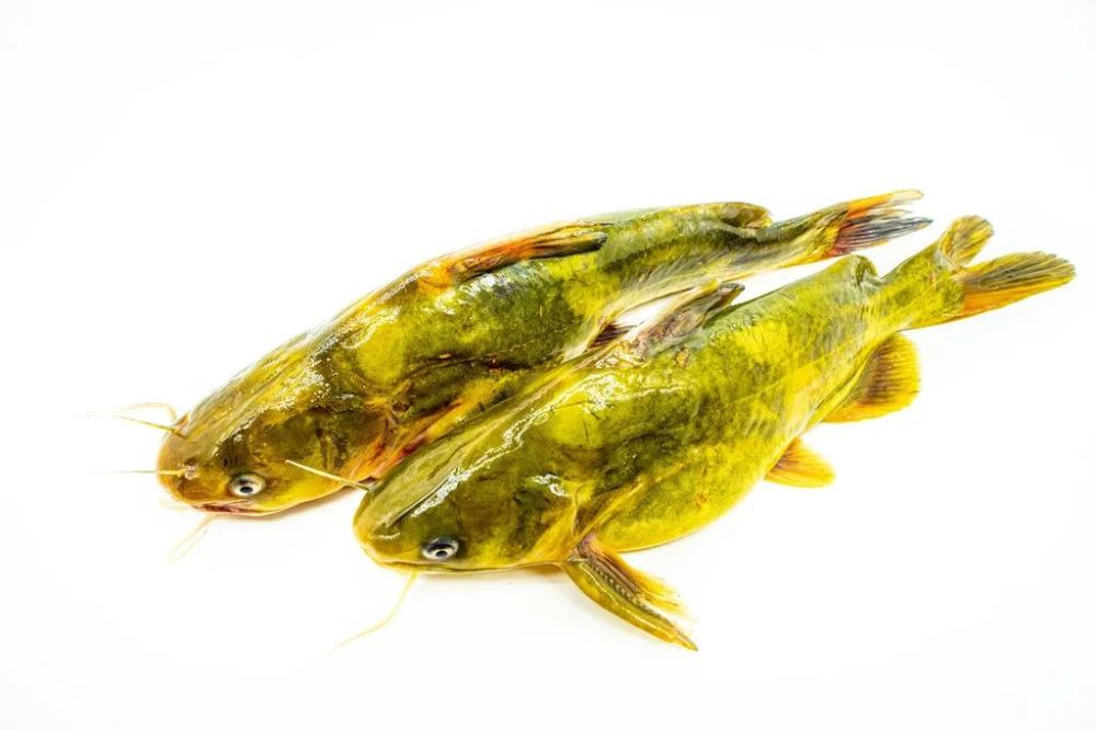 了不起独臂小哥与命运抗衡赚得千万财富