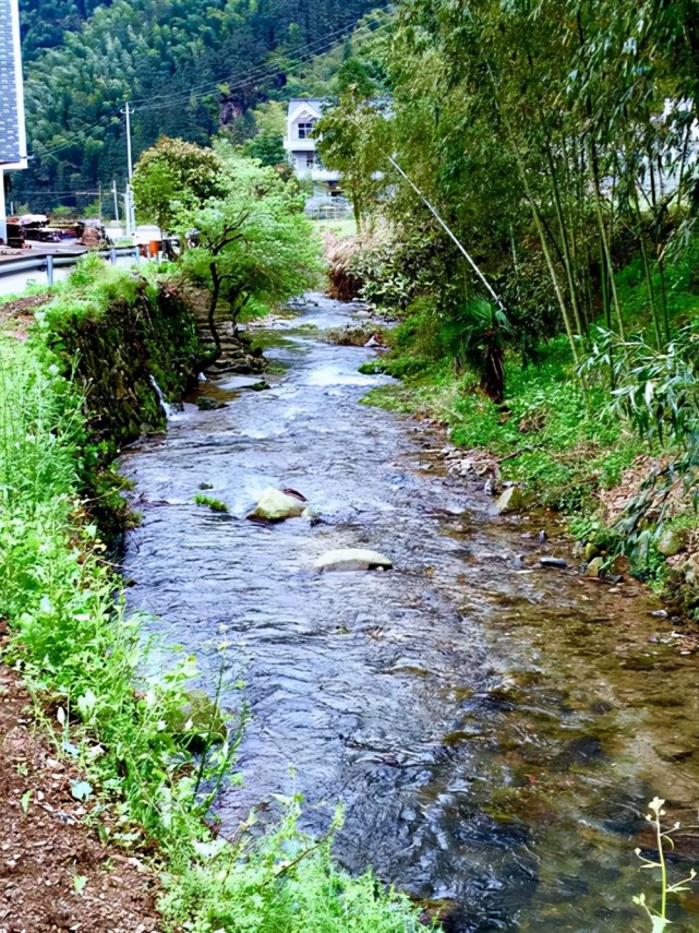 故乡那条承载着我全部童年记忆的小河,也开启了我对钓鱼的热爱