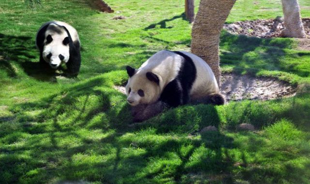 魯南最受歡迎城市動物園,有3000多頭野生動物