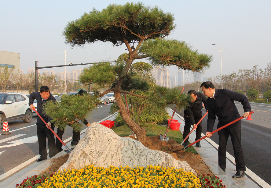 造型黑松,小葉女貞造型,國槐,烏桕,桂花,垂絲海棠,紅葉石楠樹,臘梅