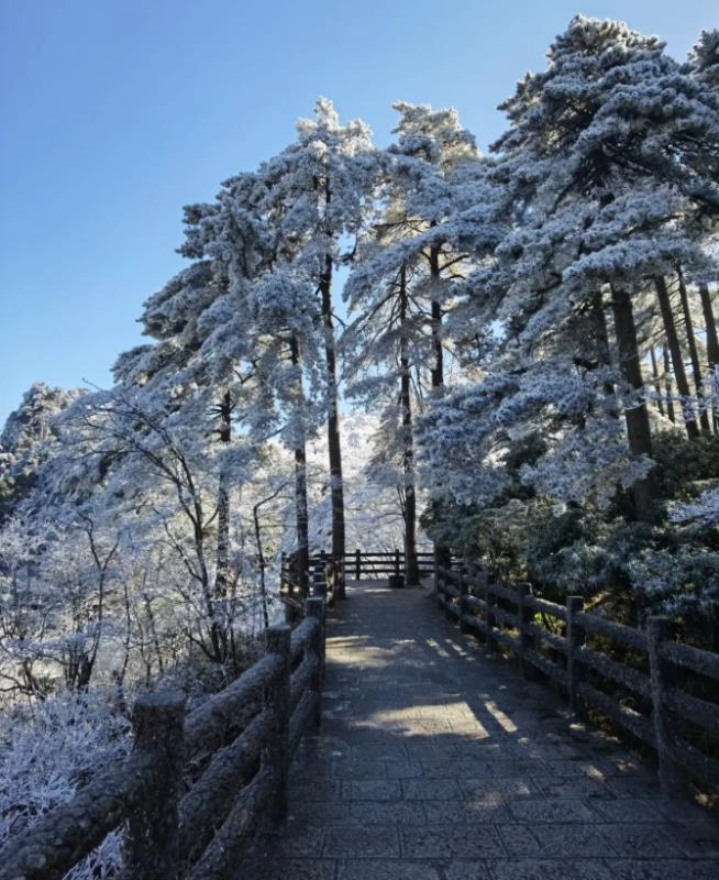 据景区气象部门介绍,本周黄山风景区将持续晴好天气,气温将逐渐回升