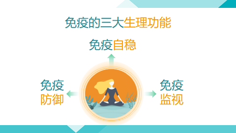 第二个叫免疫自稳,第一个叫免疫防御,免疫主要有三大生理功能,下面讲