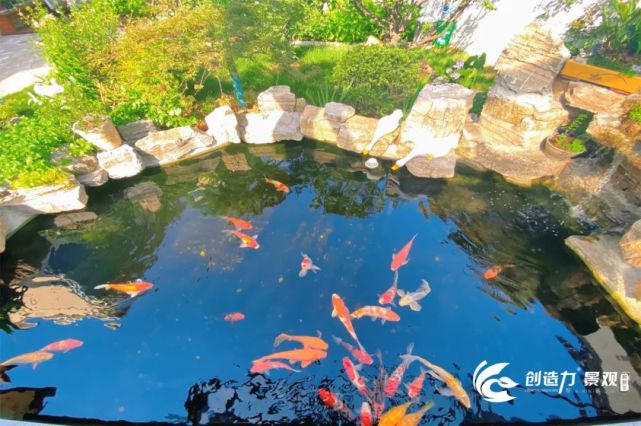 造花園魚池如果你有一個院子那一定要造一個這樣的魚池