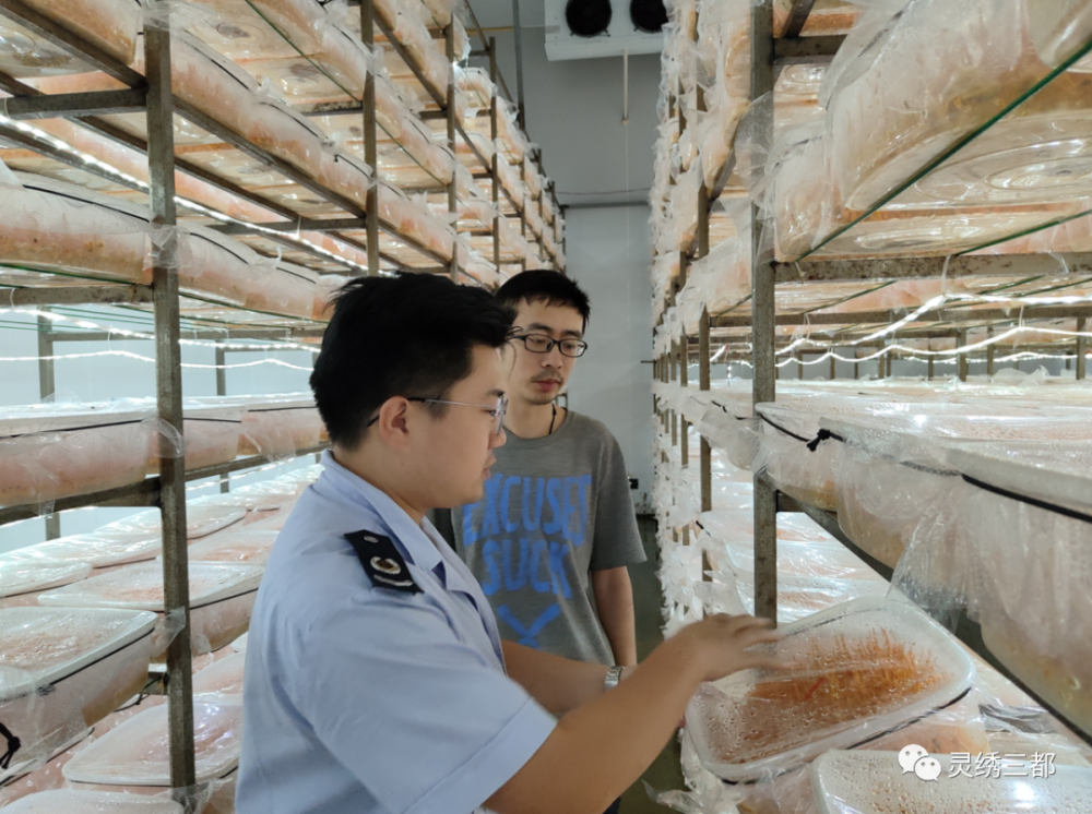 【我为群众办实事】三都:"税务力量"助力食用菌产业发展