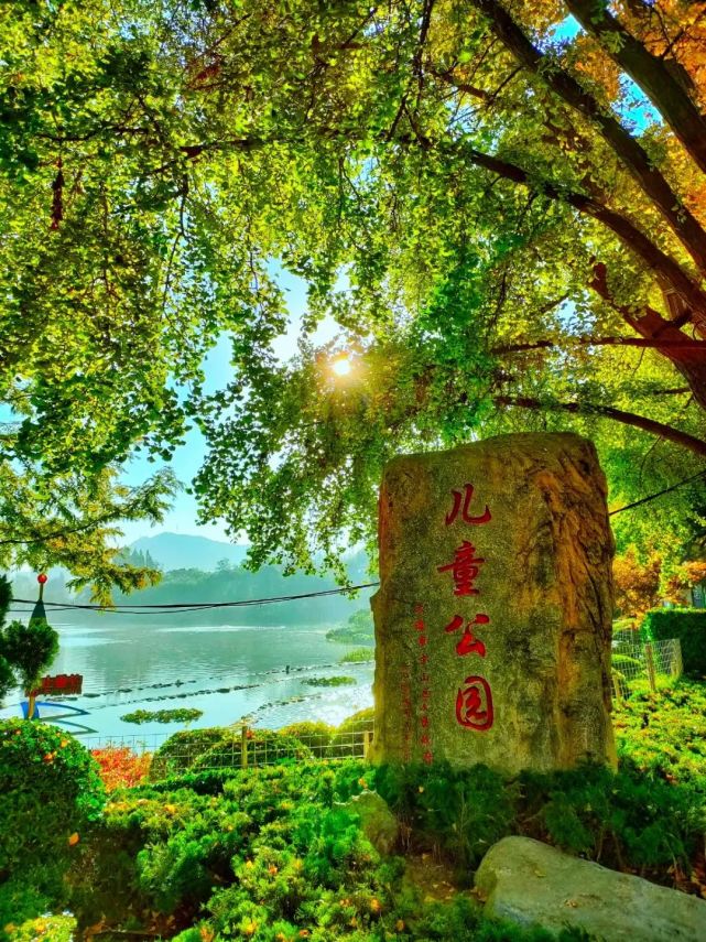 大连相册丨儿童公园的四季_腾讯新闻