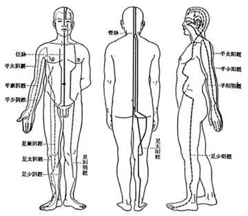 運行全身氣血,聯絡臟腑和體表及全身各部的通道,是人體功能的調控系統