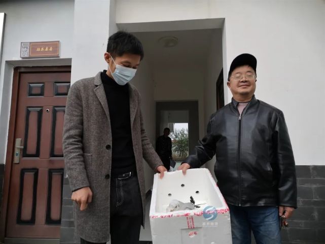 【实拍】富顺这所校园惊现国家保护动物!竟然是