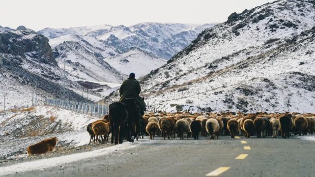 已连续举办两届萨吾尔冬牧文化旅游节,深受疆内外广大摄影爱好者和