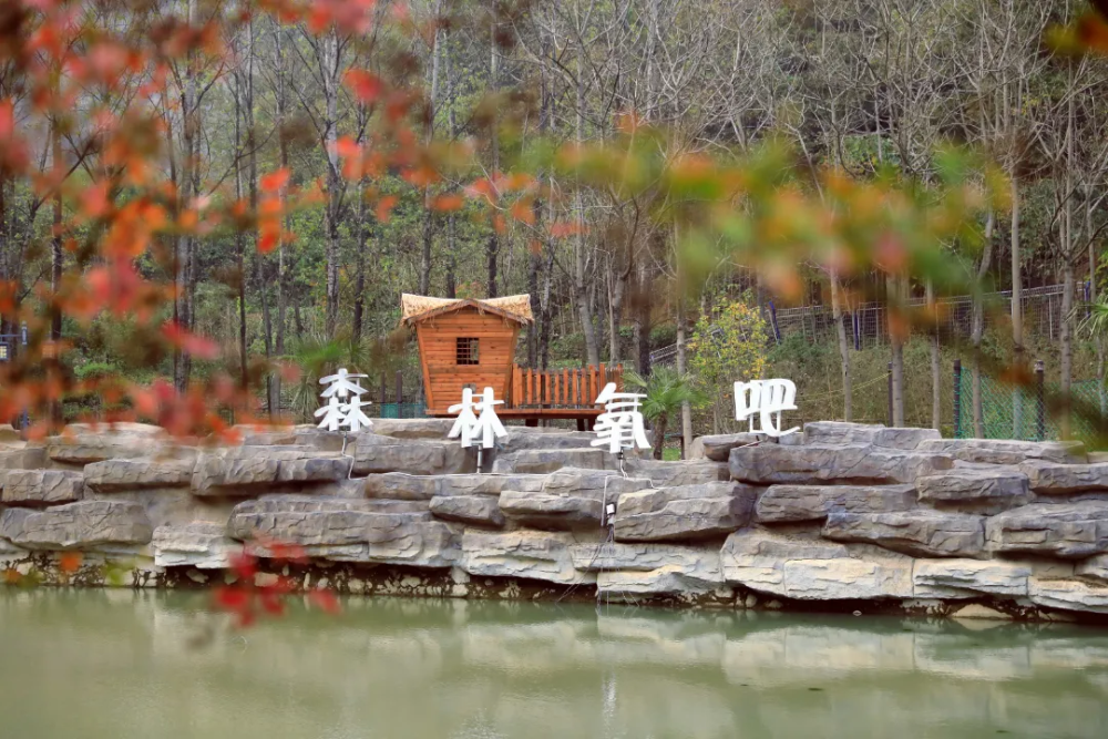 西峡小山村建起理想小镇这里很适合土槽
