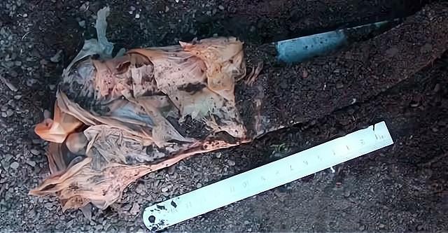 弟弟长白山遇害,亲姐姐靠梦境追凶,警察直到破案也无法解释原因