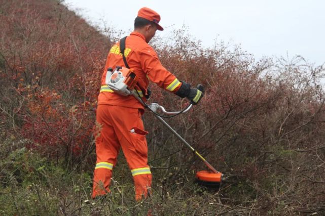 甘孜州森林消防支队演训分队严密组织演练场地防火隔离带开设工作