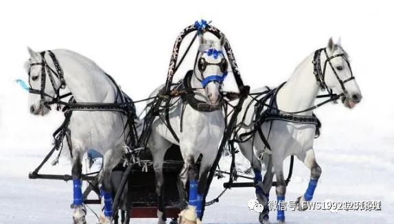 中国经济三驾马车未来投资方向很明确了