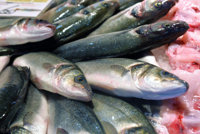 繼豬肉後魚價也漲了草魚鱸魚鮰魚都在漲為何花鰱爛市