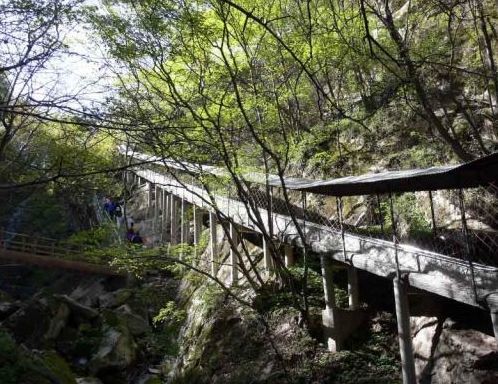 西安景點推薦祥峪森林公園低音號免費語音導遊