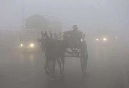 印度首都因毒雾将再次“封城”，美媒爆料：正在摧毁居民正常生活小学生快速赚100元