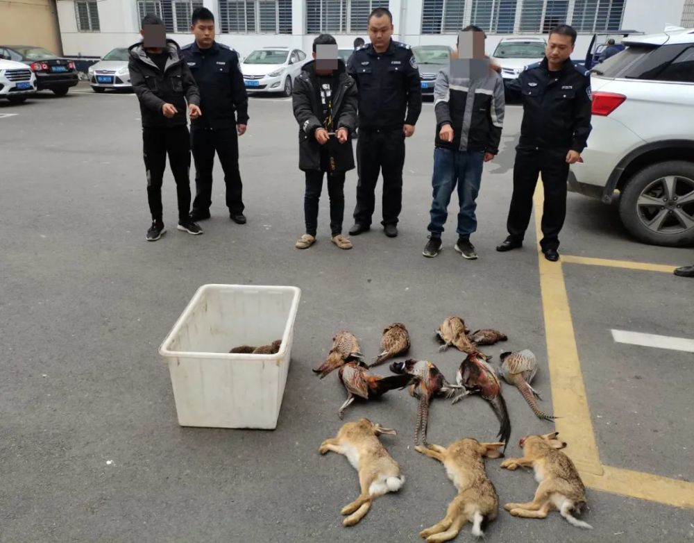 触目惊心荆门警方夜巡破获非法狩猎案查获野生动物20只