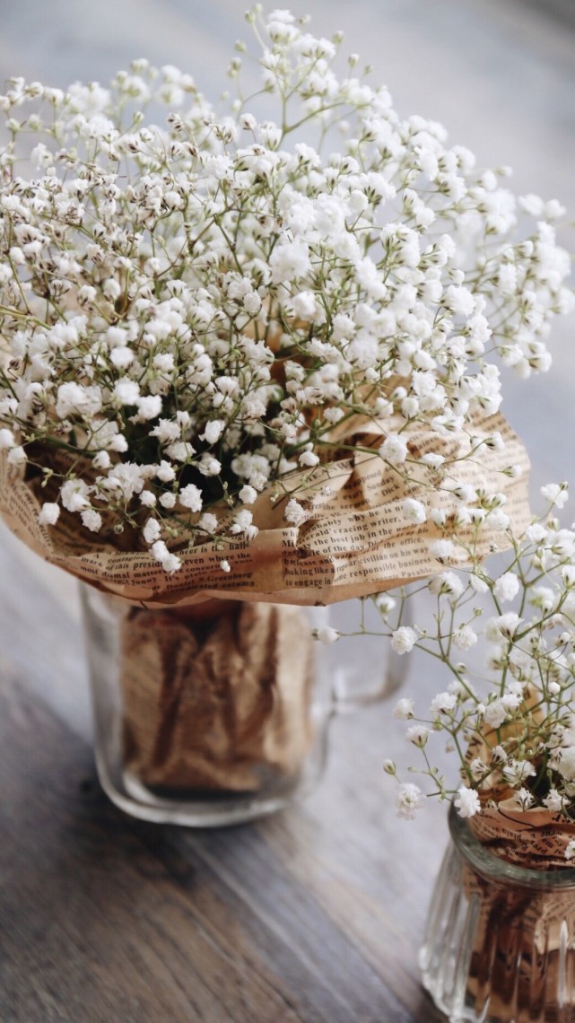 满天星图片(满天星图片唯美)