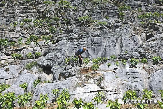 地理素养人与土地出现一个新难题石漠化中国石漠化状况公报