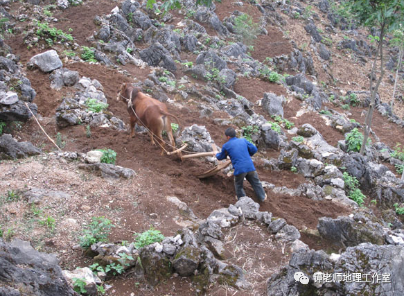 地理素养人与土地出现一个新难题石漠化中国石漠化状况公报