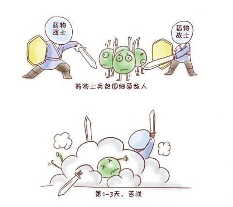 细菌|头孢拉定|药物|抗菌药物