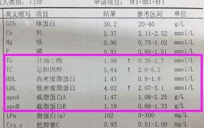 低密度脂蛋白偏高严重吗