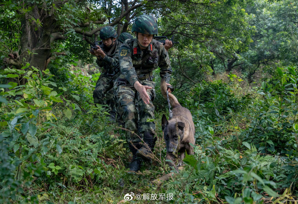 來源:解放軍報微博