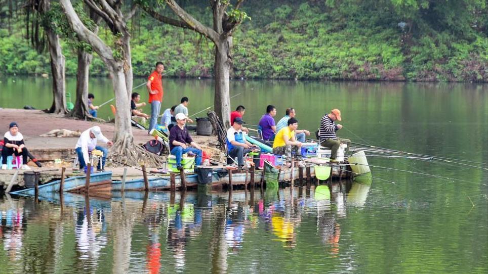 湖南一男子小河道里野钓,意外收获巨型"铜头鱼",钓鱼人:罕见_腾讯新闻