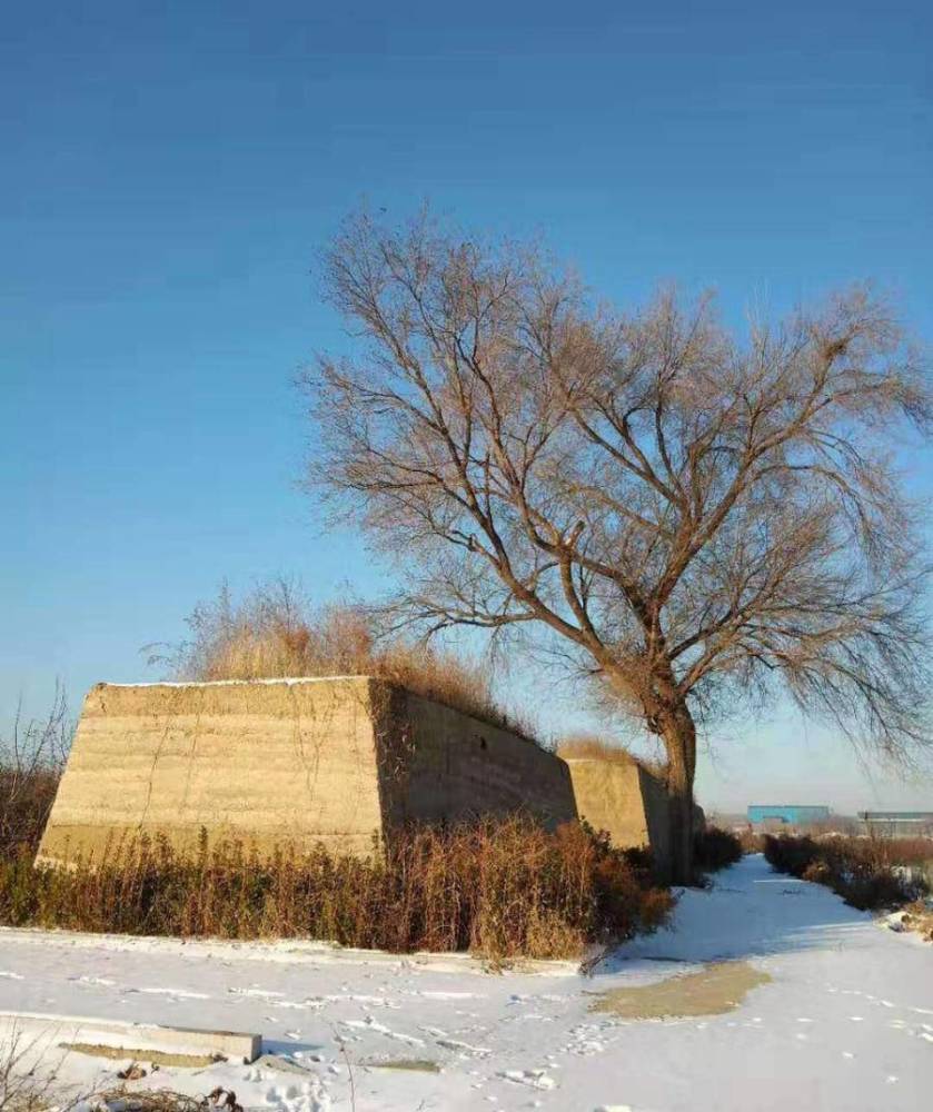 龙口文学莱国与莱夷先民的农耕文明