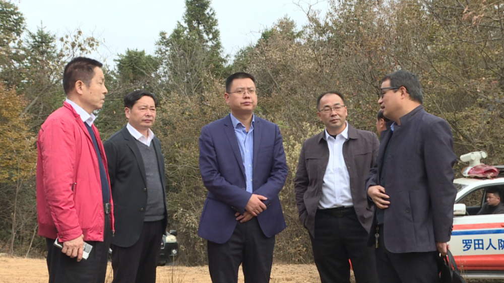 罗田县委副书记县长周黎调研文旅产业发展情况