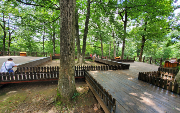 湖南省林业局湖南省绿化委员会办公室印发湖南省古树名木公园认定管理