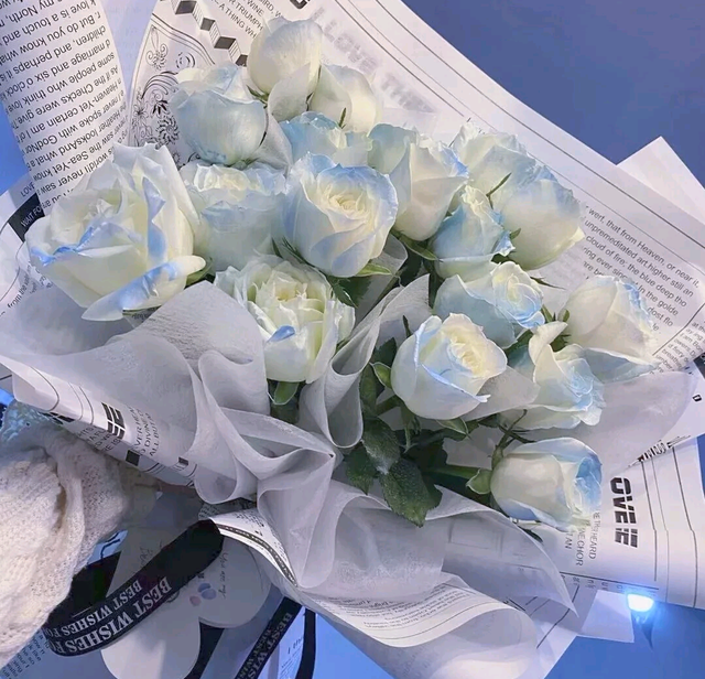 背景图碎冰蓝玫瑰